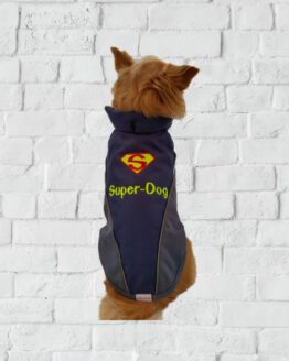 Mein Hund in blau
